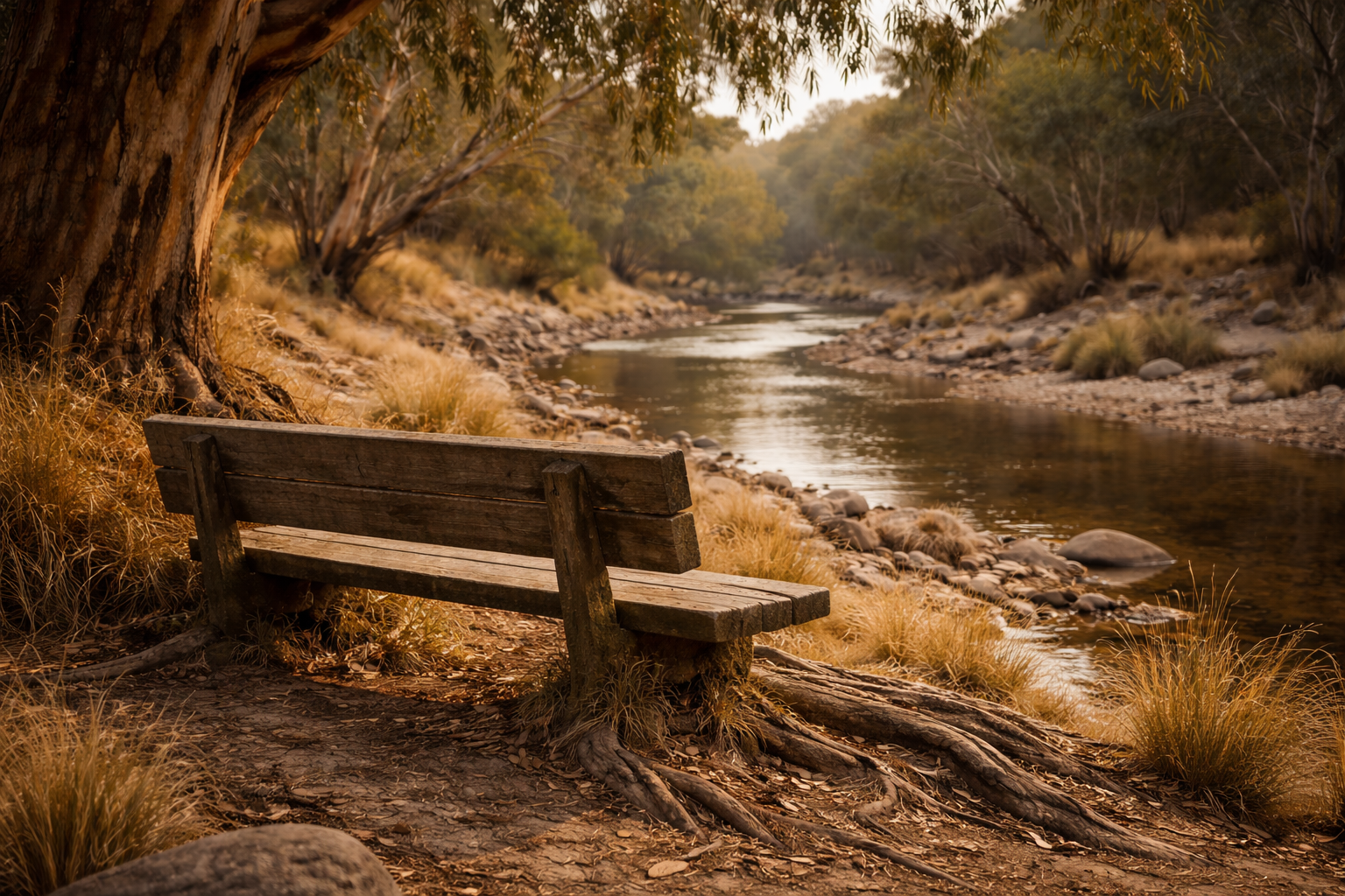 A wooden bench beside a quiet creek, dappled light through eucalyptus trees