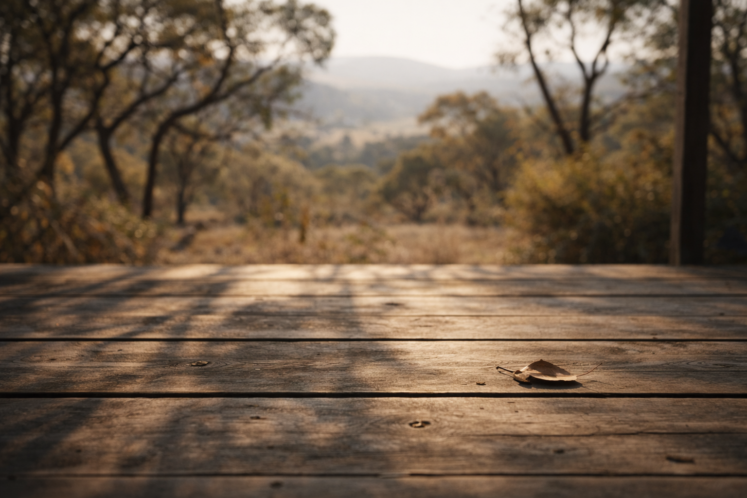 Weathered wooden deck planks with a single leaf, looking out to distant hills